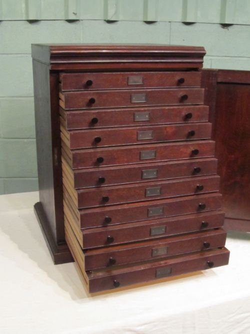 antique edwardian oak specimen cabinet c1900 w688894