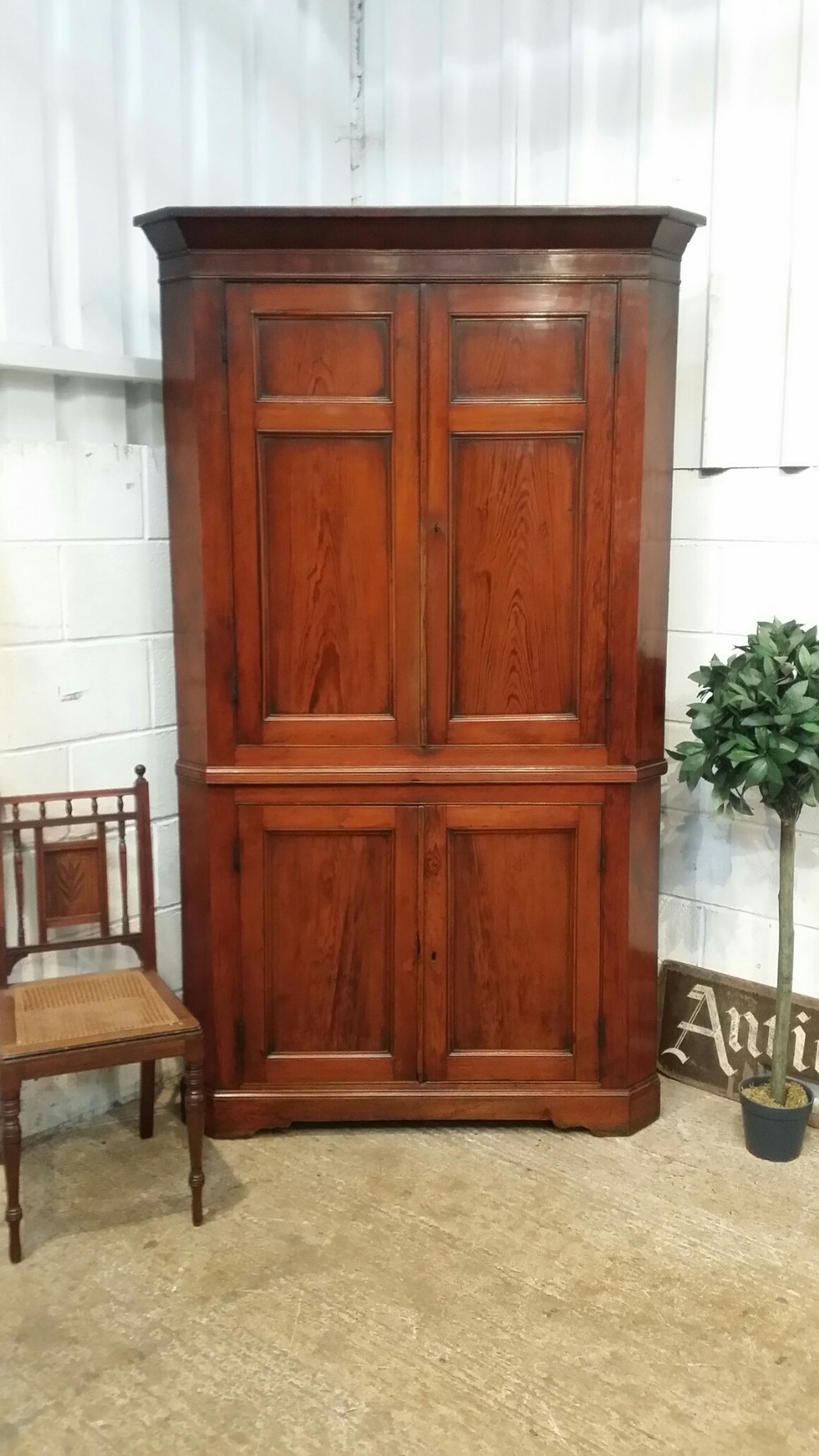 antique regency full height pitch pine corner cabinet c1820