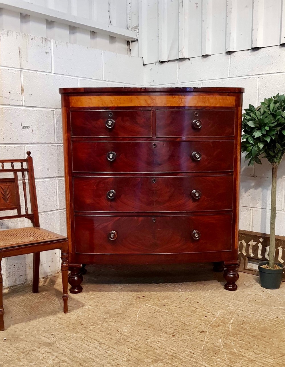 antique victorian mahogany satin birch bow front chest of drawers c1870