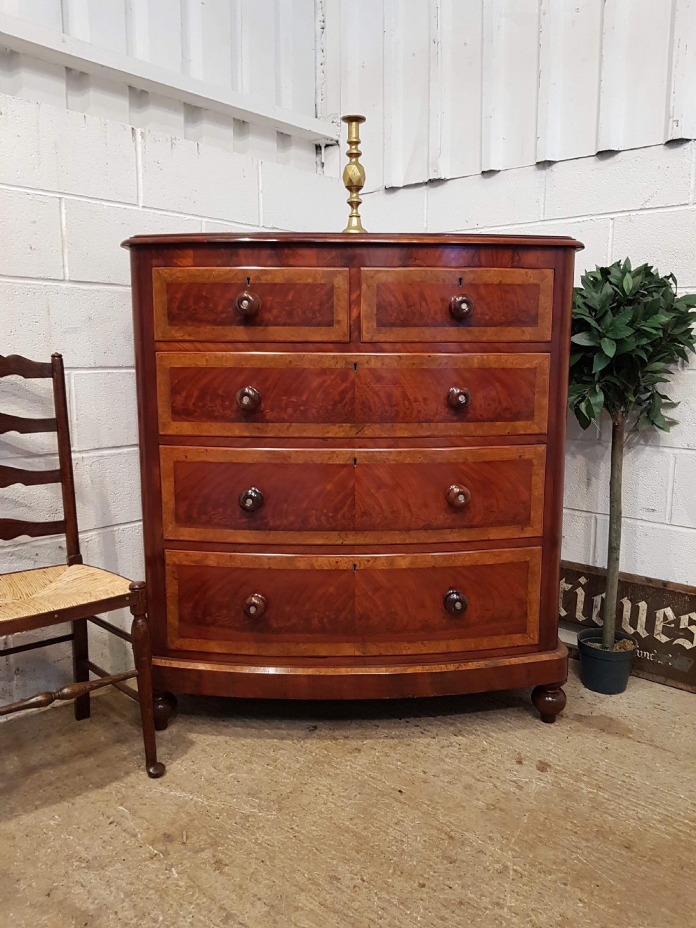 antique victorian mahogany burr walnut bow front chest of drawers c1880