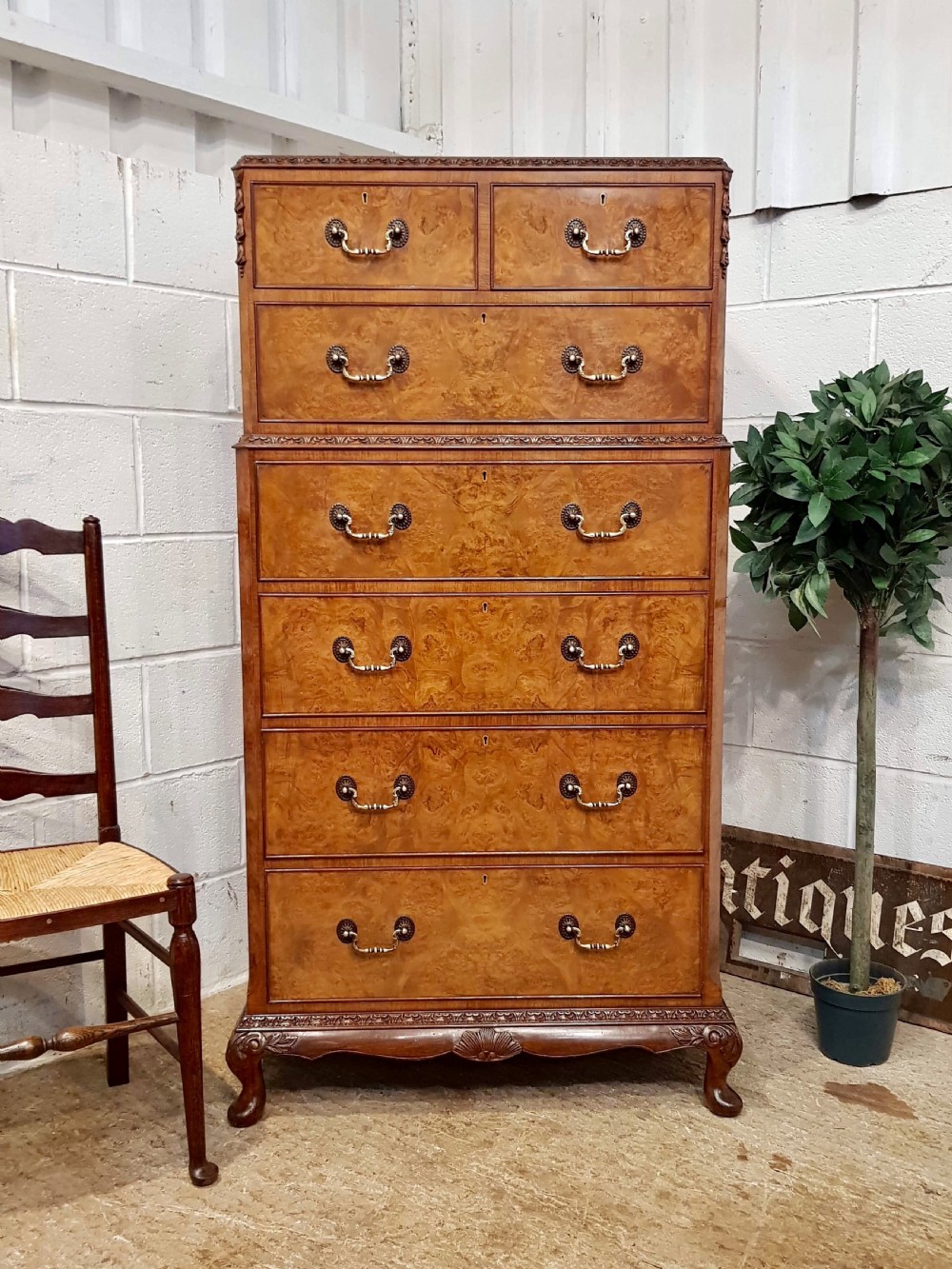 antique burr walnut tallboy chest of drawers c1920