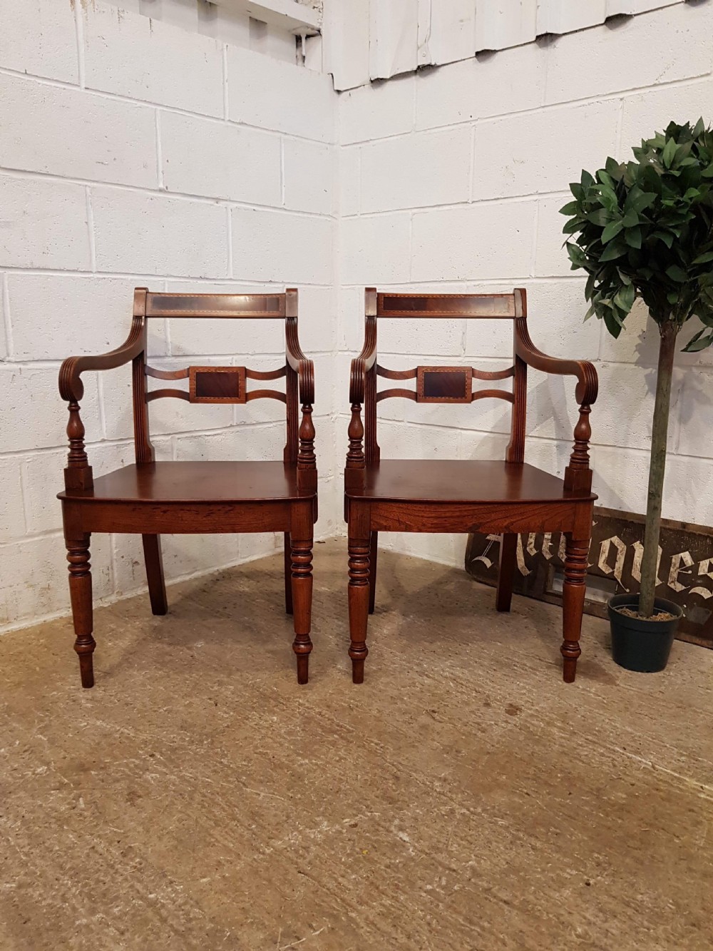 antique pair regency oak mahogany library chairs c1820